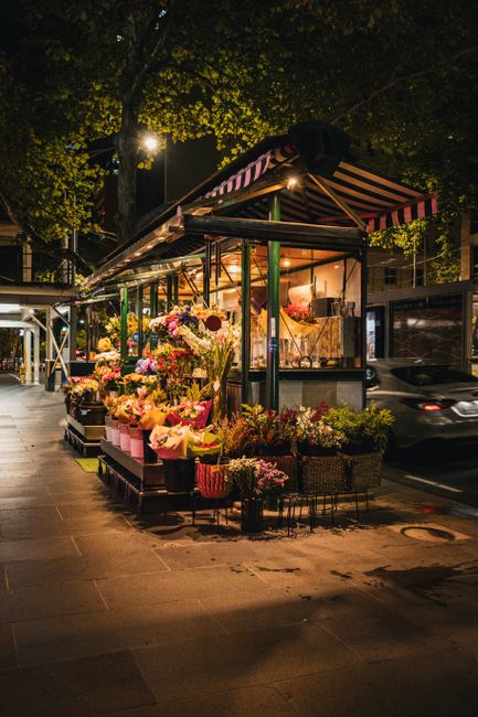 https://flowerswanstead.co.uk/blog/snaresbrook-station-florist-pickup-guide-flowers-on-the-go/
