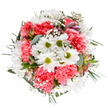 A bouquet designed with passion and local flair, this composition embodies Wanstead's cheerful elegance and the expertise of its community florists. At its center, brilliant white daisies glow under soft studio light, the lime hint in their centers creating a refreshing contrast reminiscent of spring mornings in Wanstead's open spaces. Coral-pink carnations, resplendent in their fullness and lightly ruffled contour, bring a joyous warmth that brightens the ensemble. Scattered throughout, feathery sprigs of baby's breath resemble delicate raindrops, lending a light, ethereal quality that keeps the design playful yet refined. Buds of blushing alstroemeria, streaked with touches of deep magenta, peek subtly amid the foliage, promising lasting beauty and a hint of fragrance. Framing it all, rich greenery-velvet eucalyptus and darker glossy leaves-gently supports the blooms, echoing the lush charm of local parks. The composition, viewed from above, conveys a sense of unity and grace, ideally suited for commemorating special days or sending encouragement across Wanstead's vibrant avenues. Whether gracing a coffee table on Cambridge Park or sent as a gesture of appreciation, this bouquet radiates joy, tranquillity, and the refined spirit of Wanstead floral design.